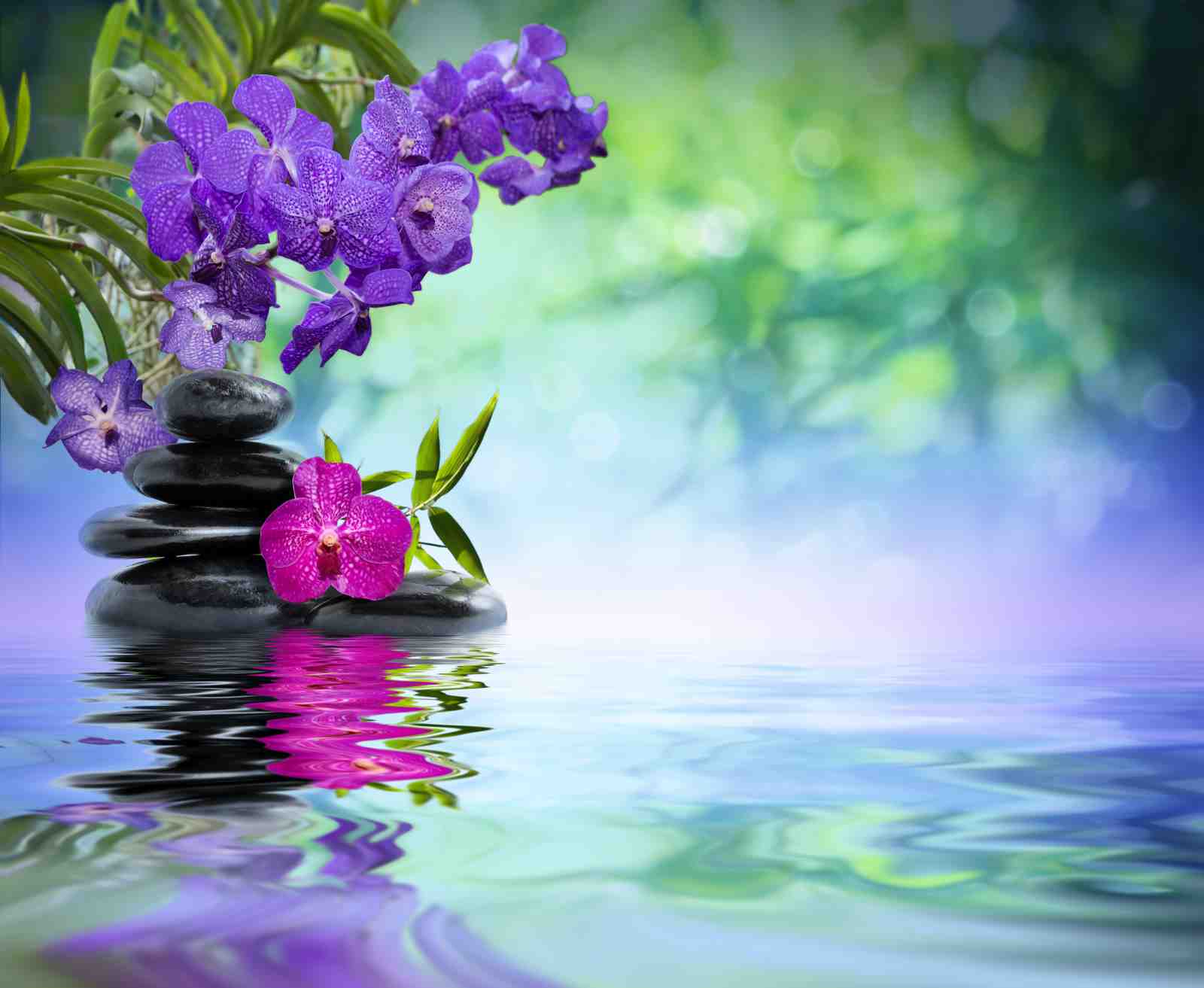 Serene Purple Orchid & Zen Stones Wall Art