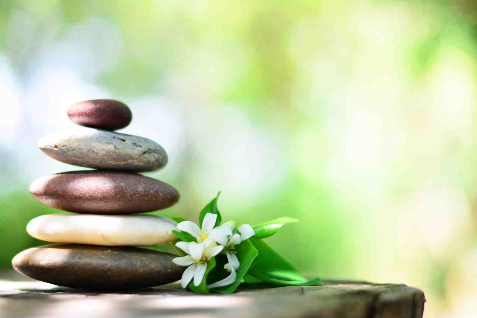 Zen Balance Stones & Flowers Wall Art