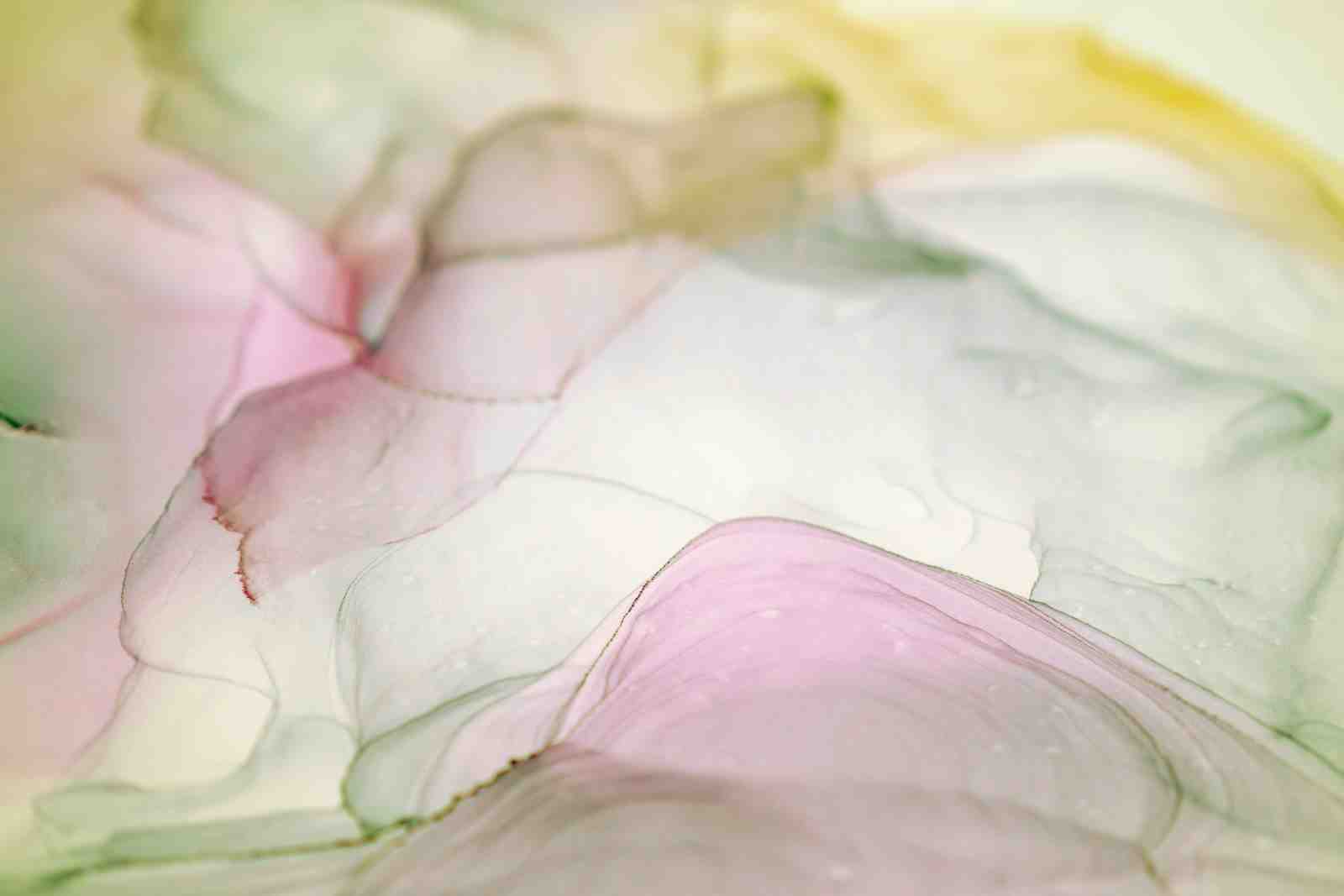 Serene Abstract Blush & Sage Wall Art