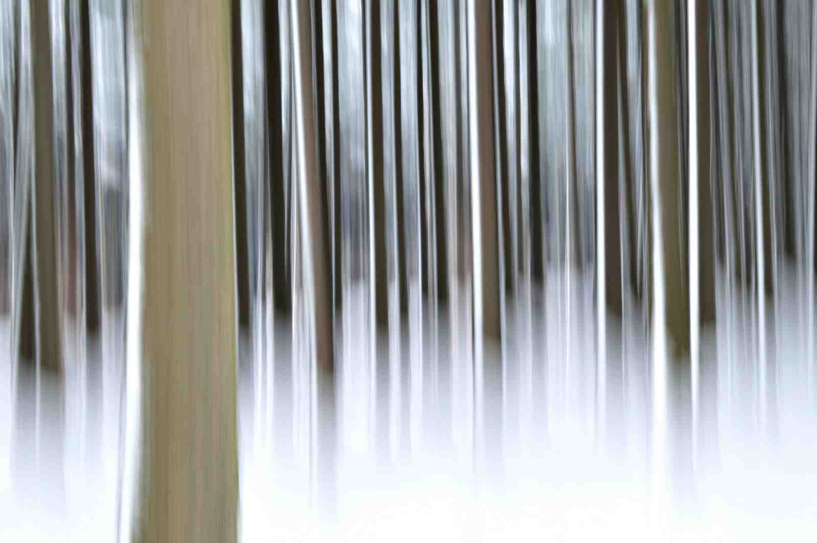 Abstract Forest Landscape Wall Art