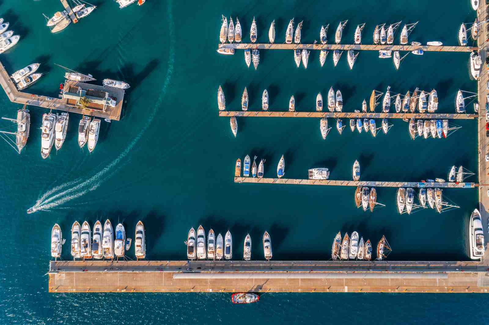 Aerial Yacht Marina Wall Art - Coastal Living