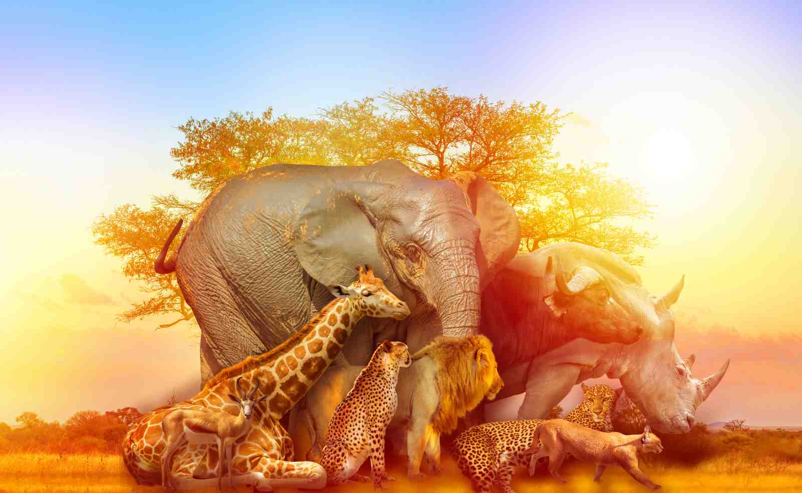 Majestic African Safari Animals Wall Art