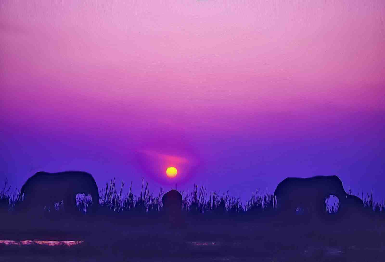 African Sunset Elephants Serene Wall Art