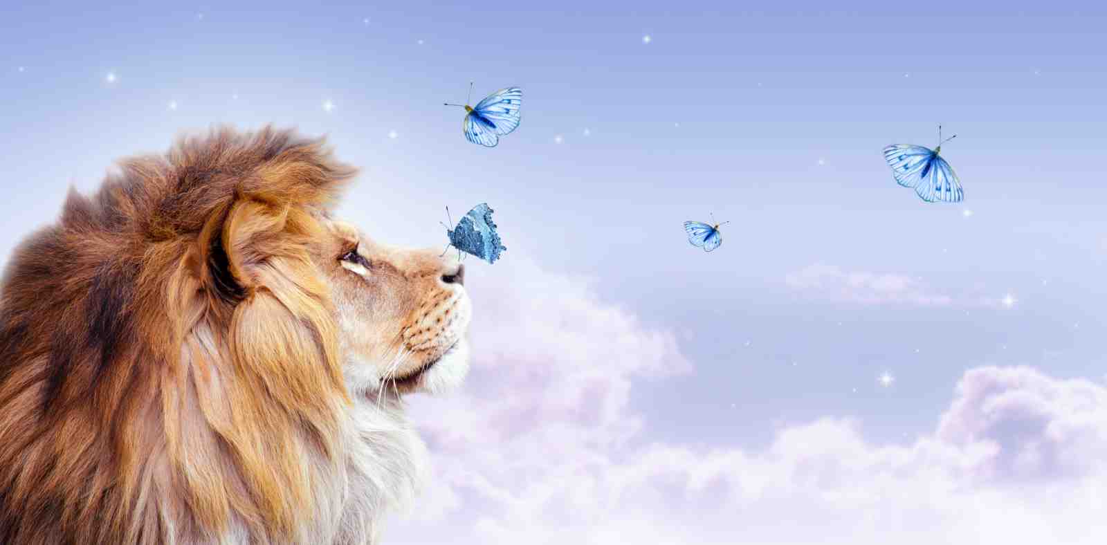 Majestic Lion & Butterflies Dreamy Sky Wall Art