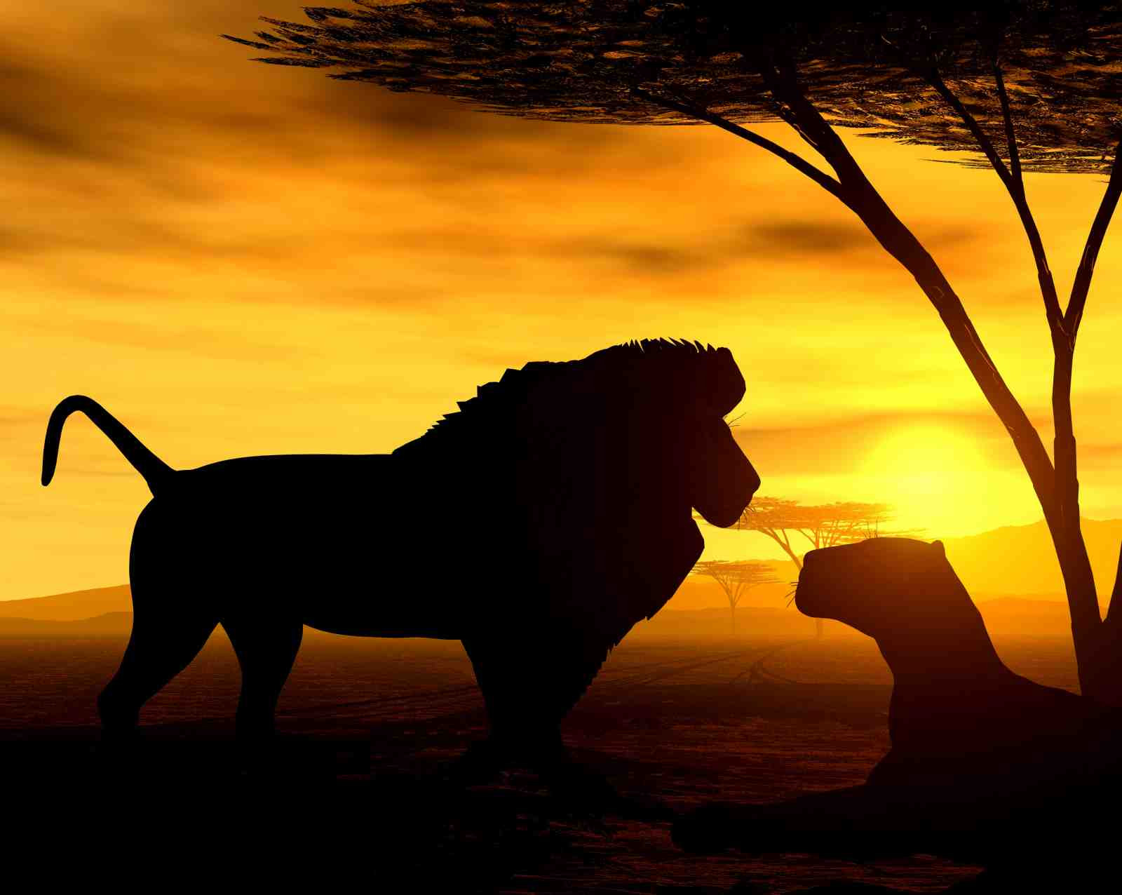 Majestic Lion & Lioness Sunset Silhouette Wall Art