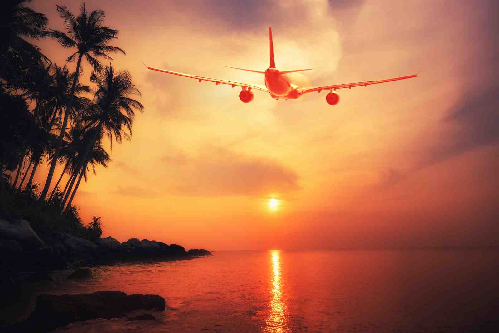 Sunset Airplane Palm Trees Beach Wall Art