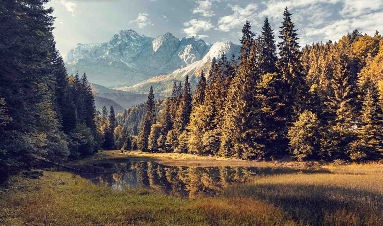 Serene Mountain Lake Forest Landscape Wall Art