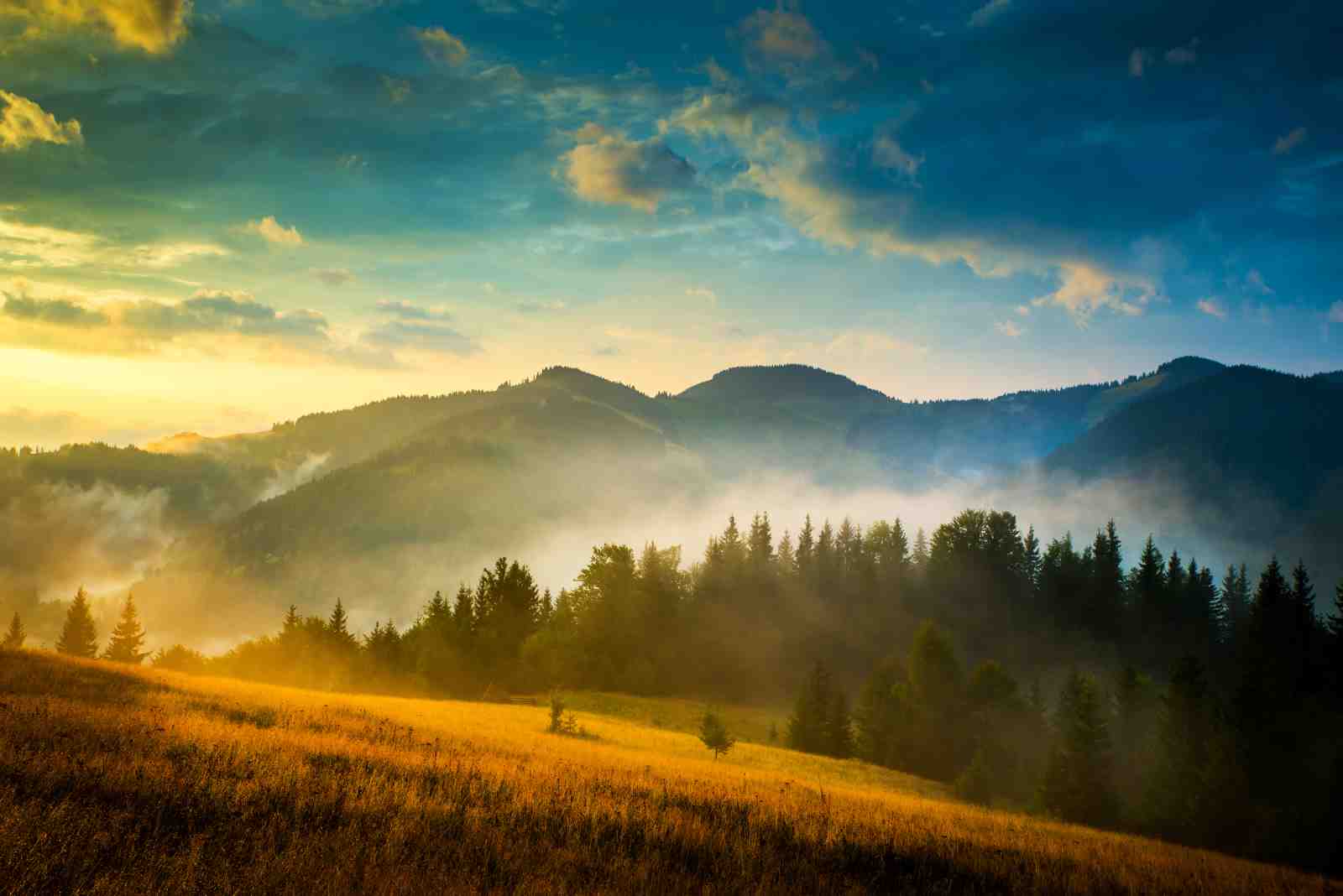 Misty Mountain Sunrise Landscape Wall Art
