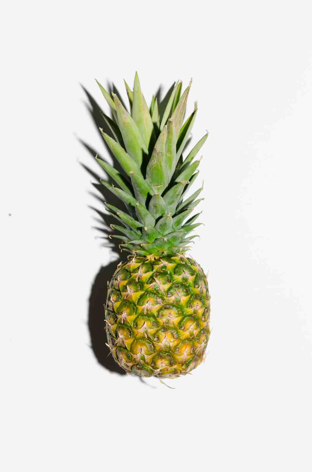 Tropical Pineapple Wall Art Wall Art