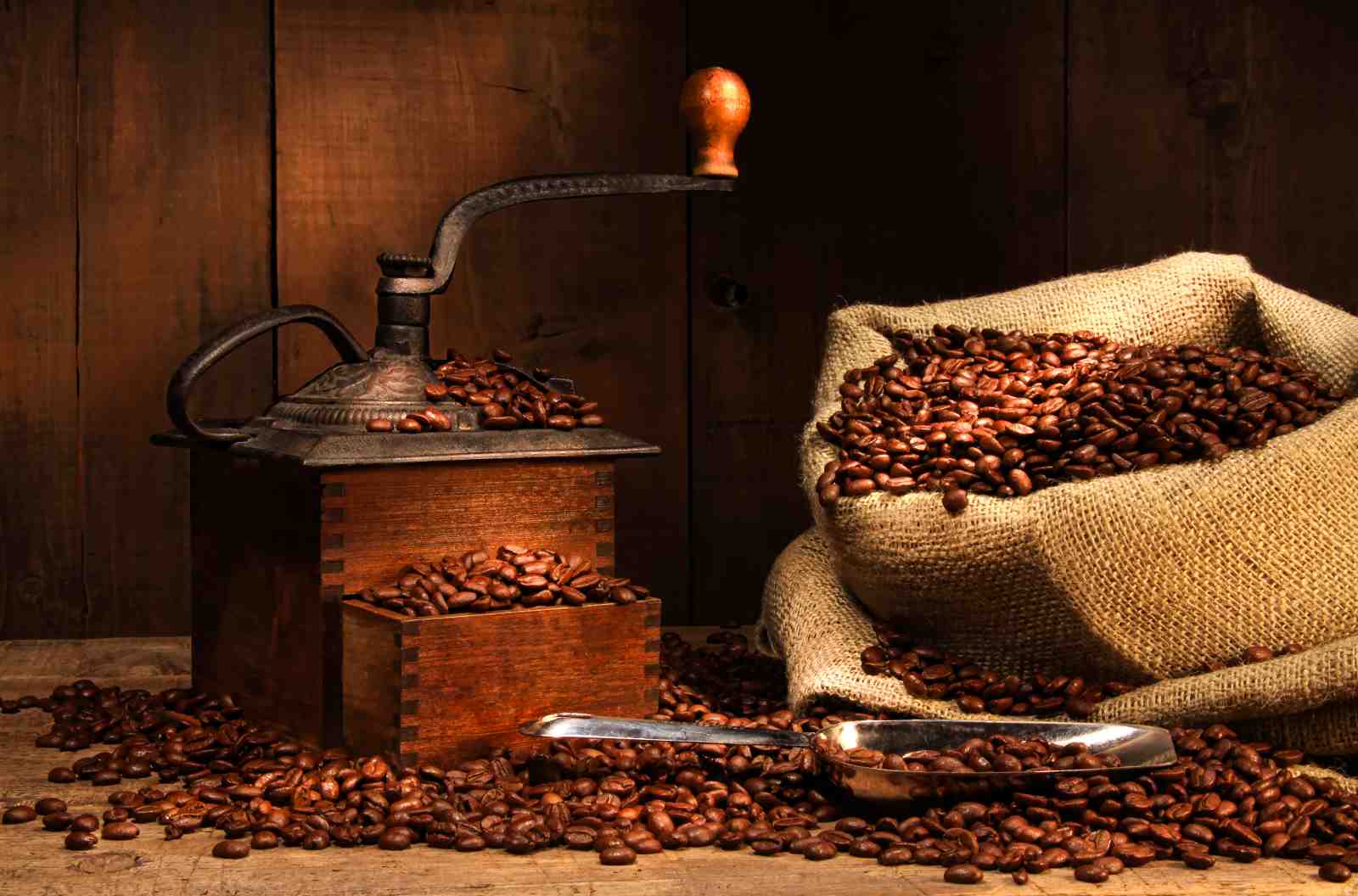 Vintage Coffee Grinder & Beans Wall Art