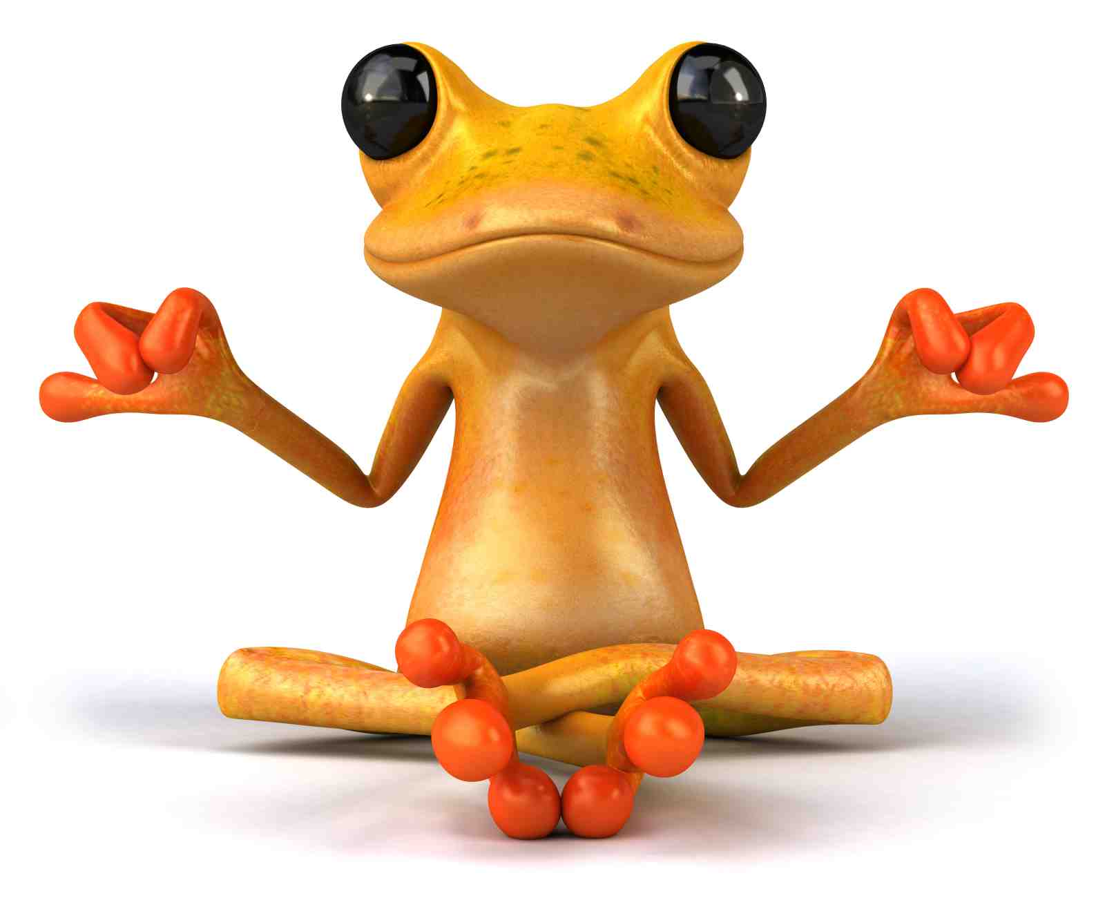 Zen Frog Yoga Meditation Wall Art