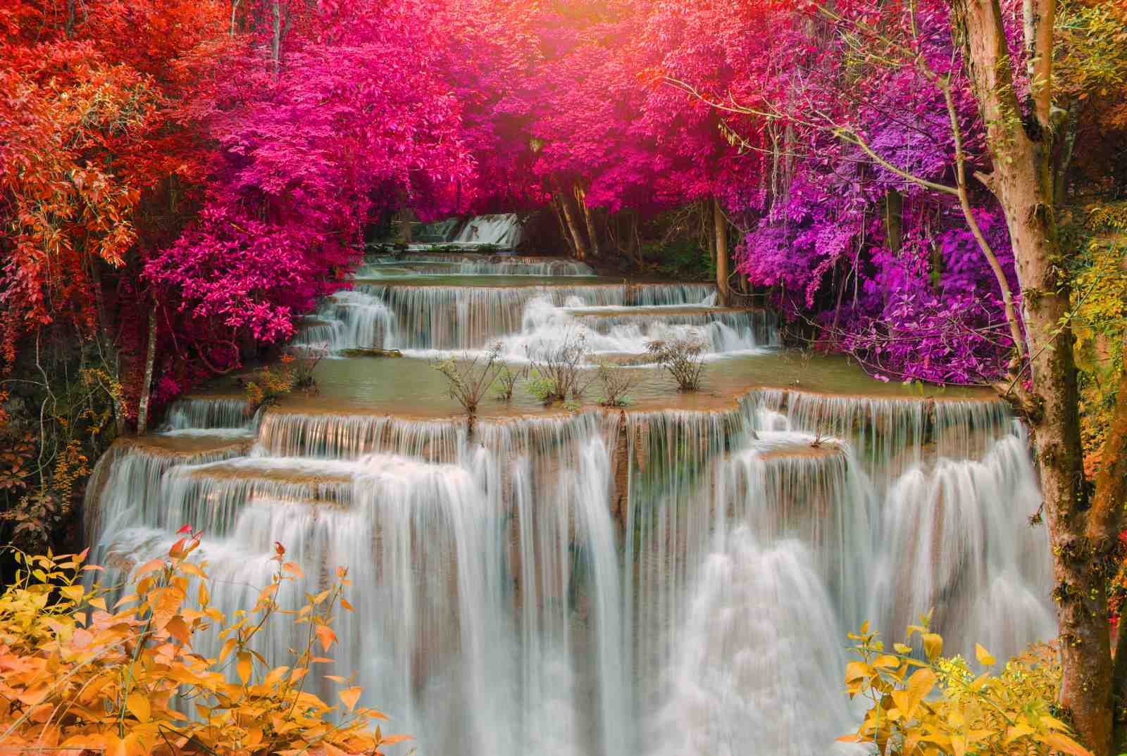 Enchanting Waterfall & Magenta Forest Wall Art