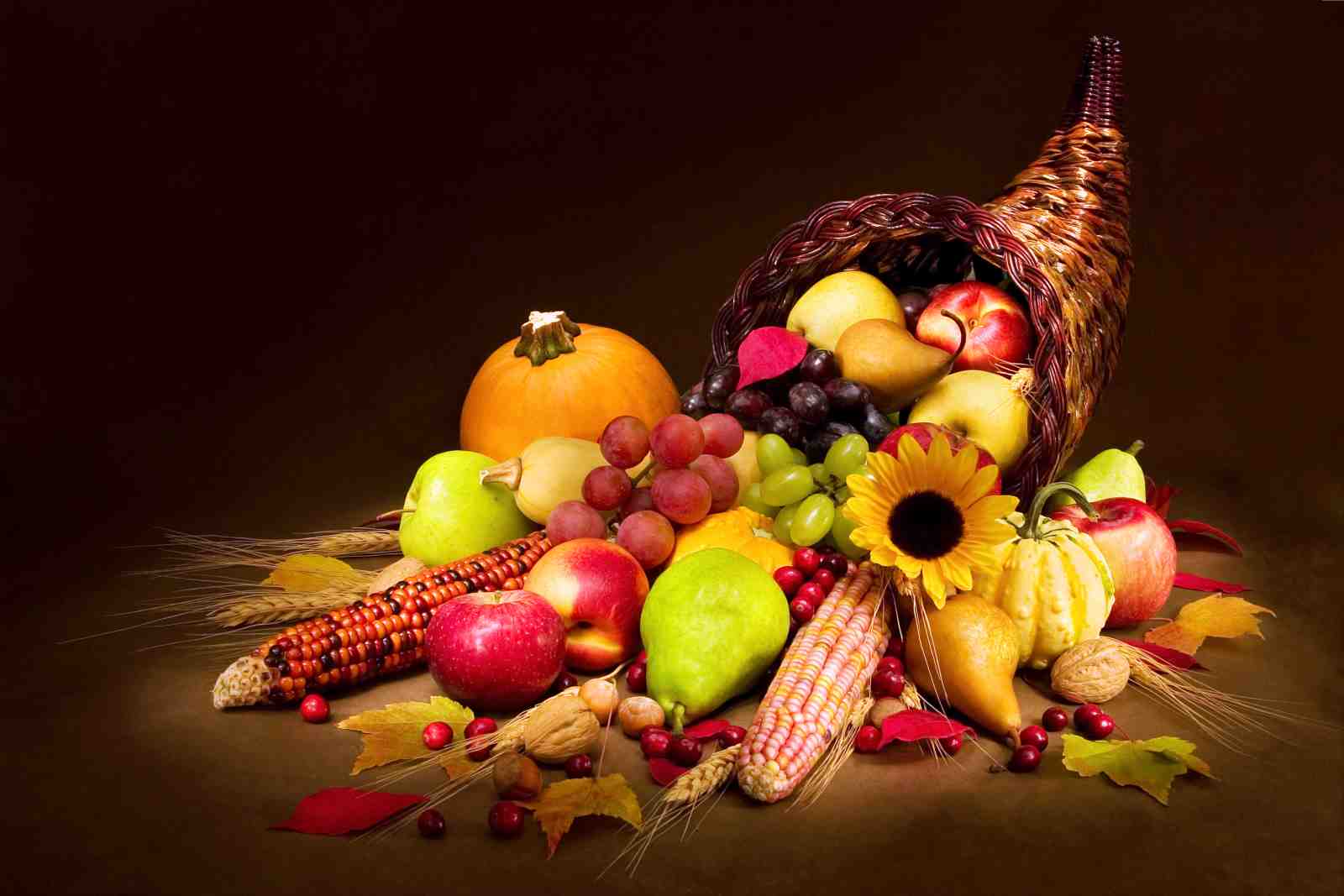 Abundant Harvest Cornucopia Wall Art