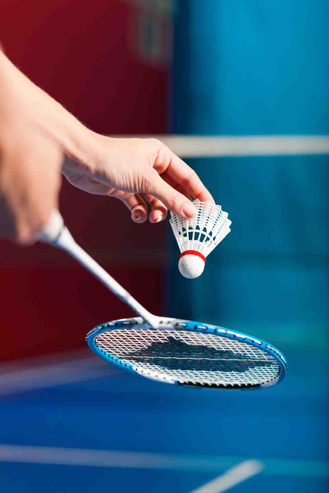 Badminton Serve Action Wall Art