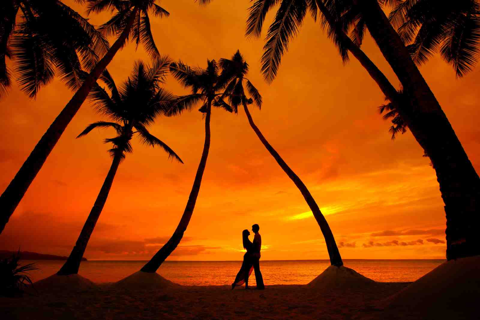 Romantic Sunset Embrace Palm Trees Wall Art