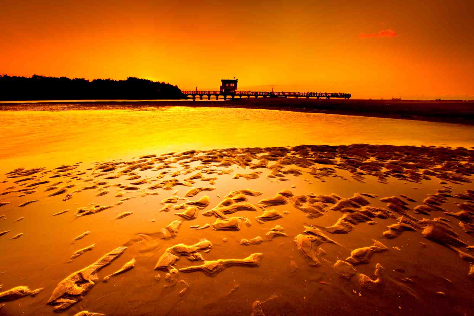 Golden Sunset Beach Pier Wall Art