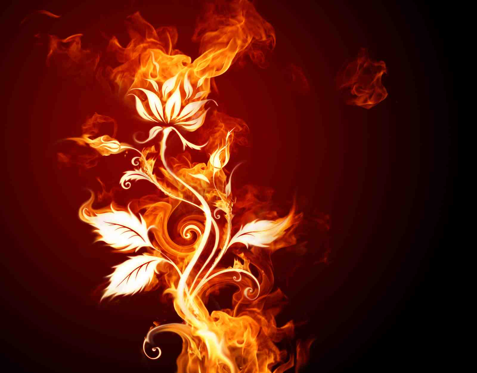 Fiery Floral Elegance Wall Art