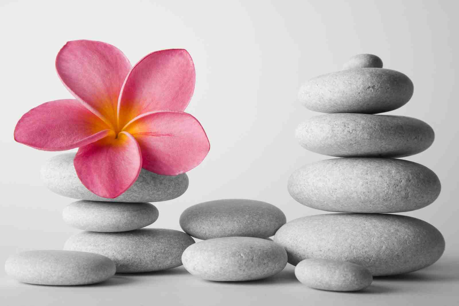 Zen Stone & Pink Flower Wall Art