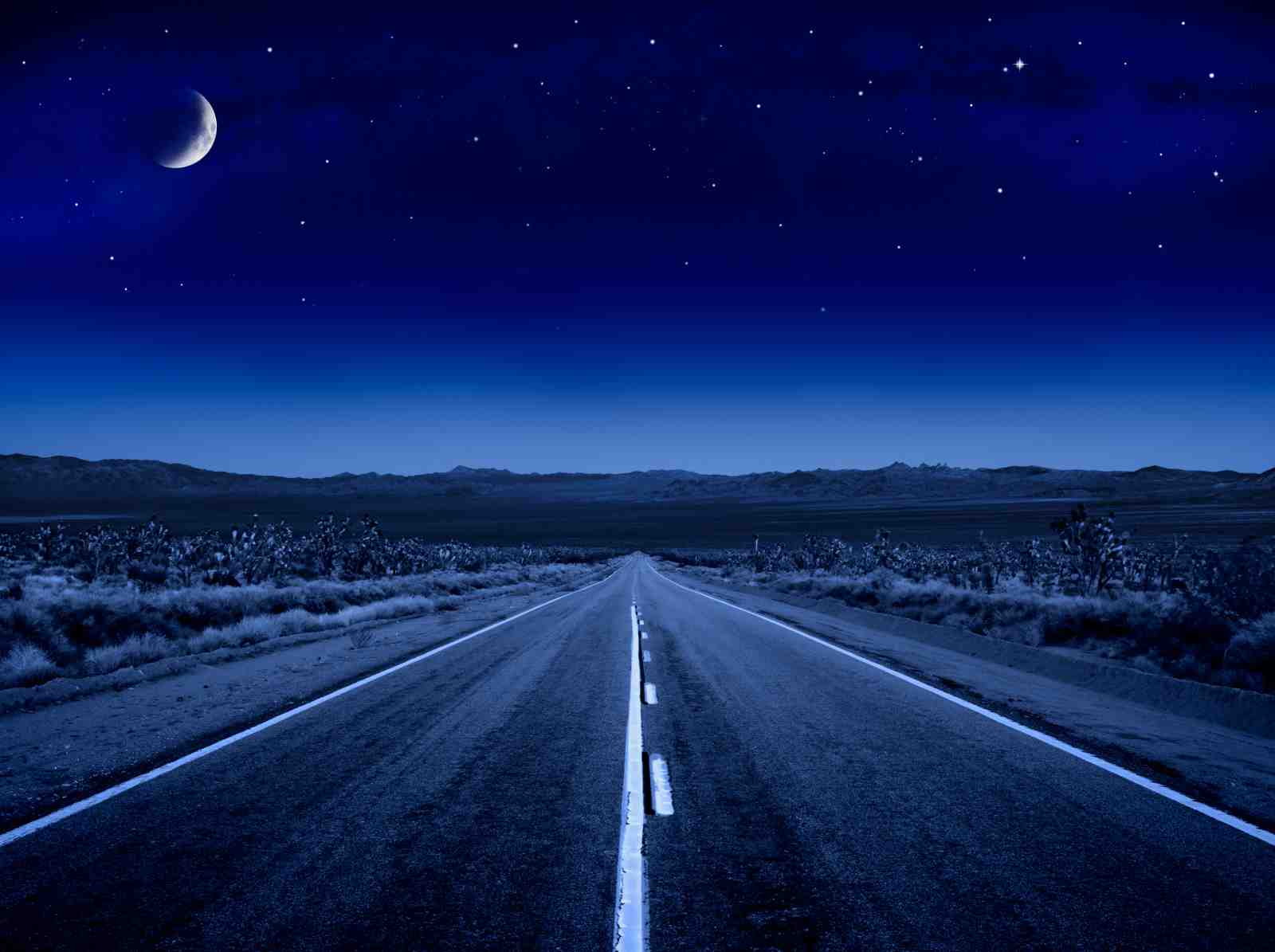 Desert Highway Under Moonlit Sky Wall Art