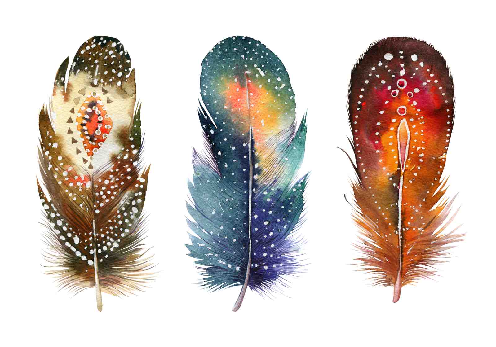 Boho Watercolor Feathers Wall Art Art