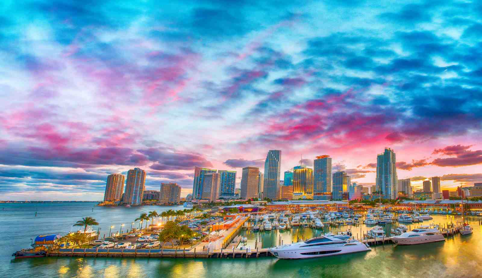 Vibrant Miami Skyline Yacht Harbor Wall Art