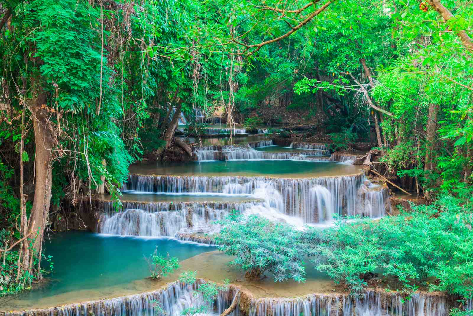 Serene Rainforest Waterfall Wall Art