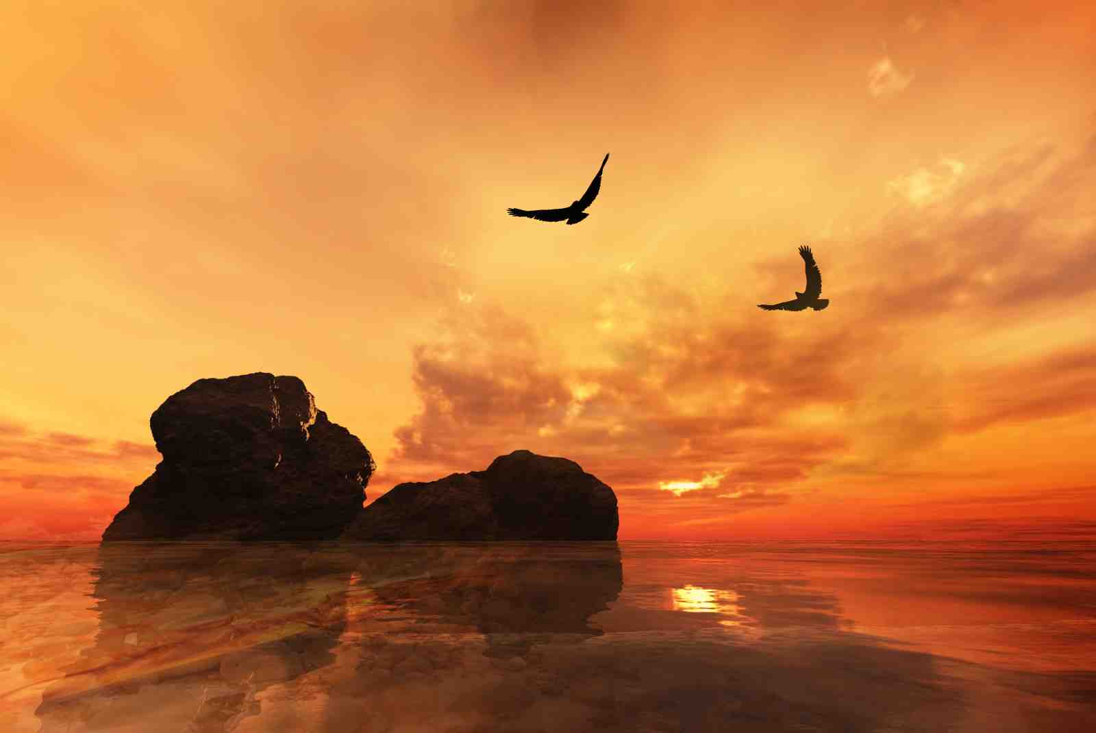 Majestic Eagles Sunset Ocean Wall Art