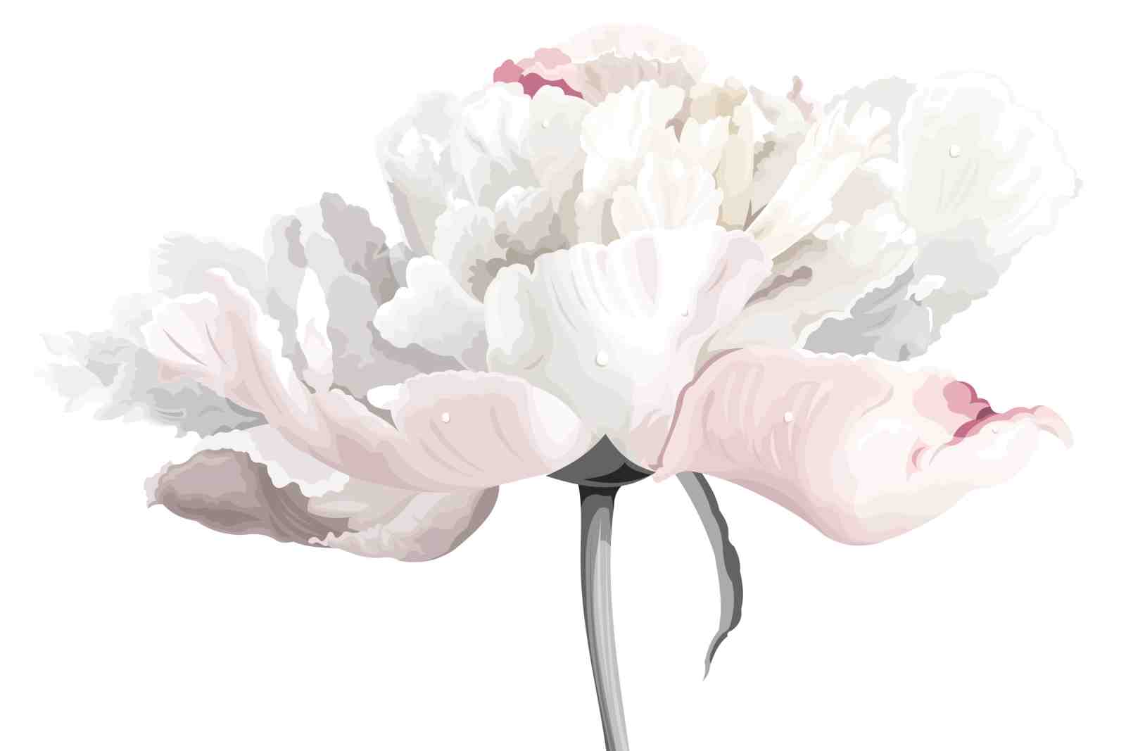 Soft Peony Blossom Wall Art