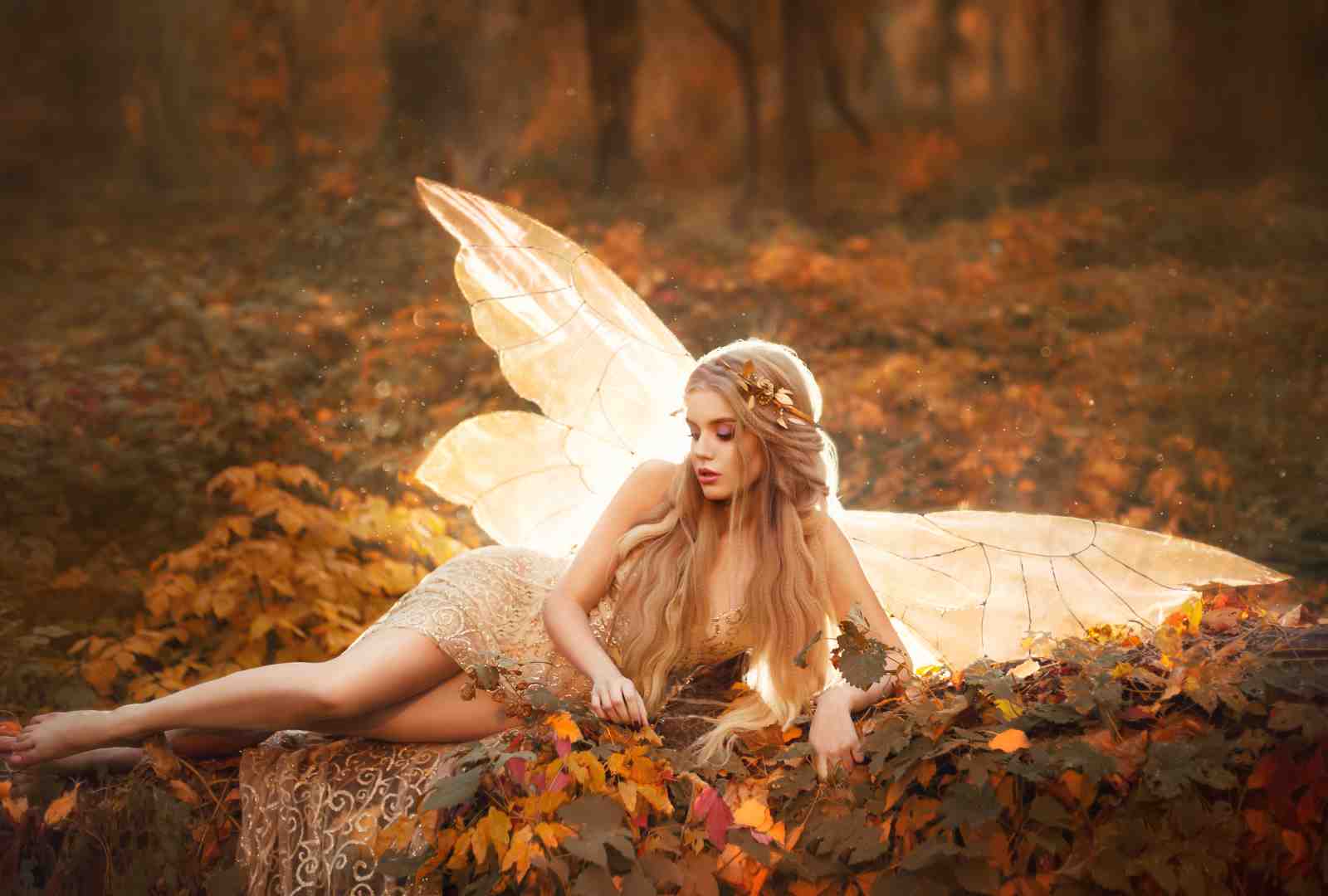 Enchanted Autumn Fairy Wall Art