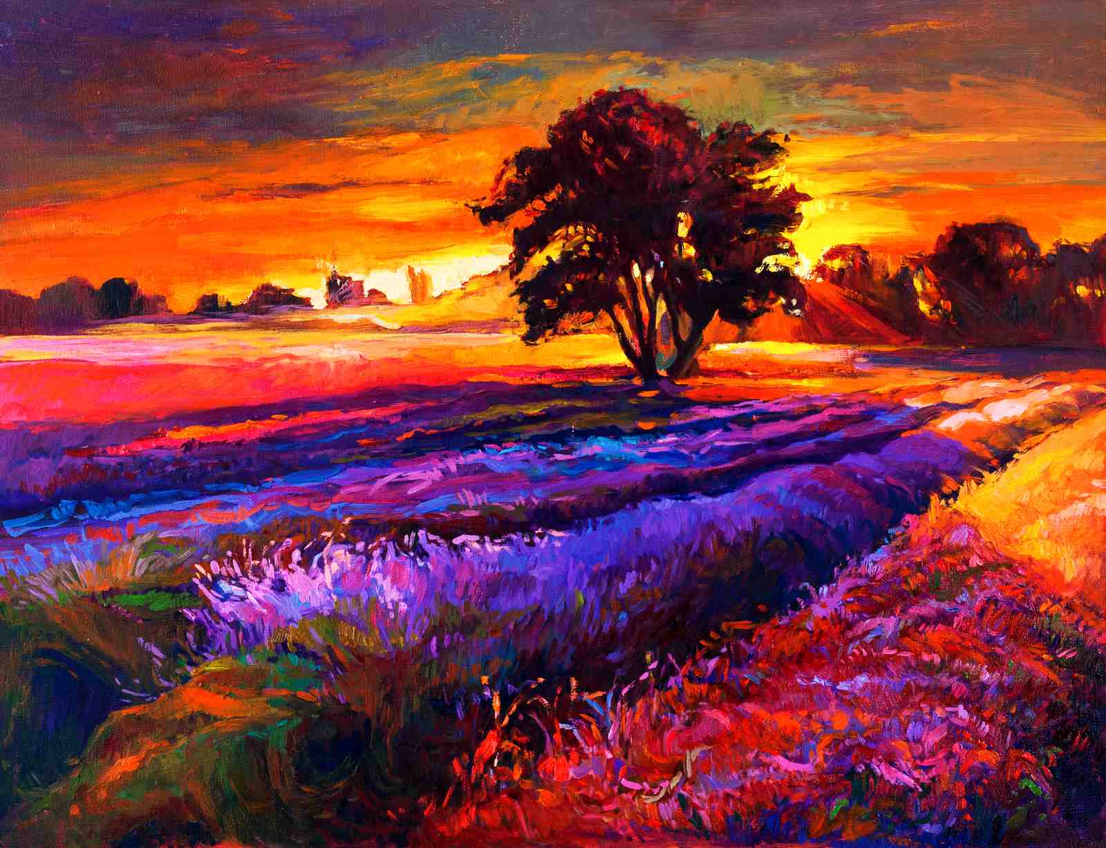 Vibrant Sunset Lavender Field Wall Art