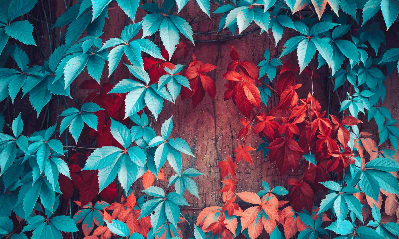 Vibrant Teal & Red Vines Wall Art