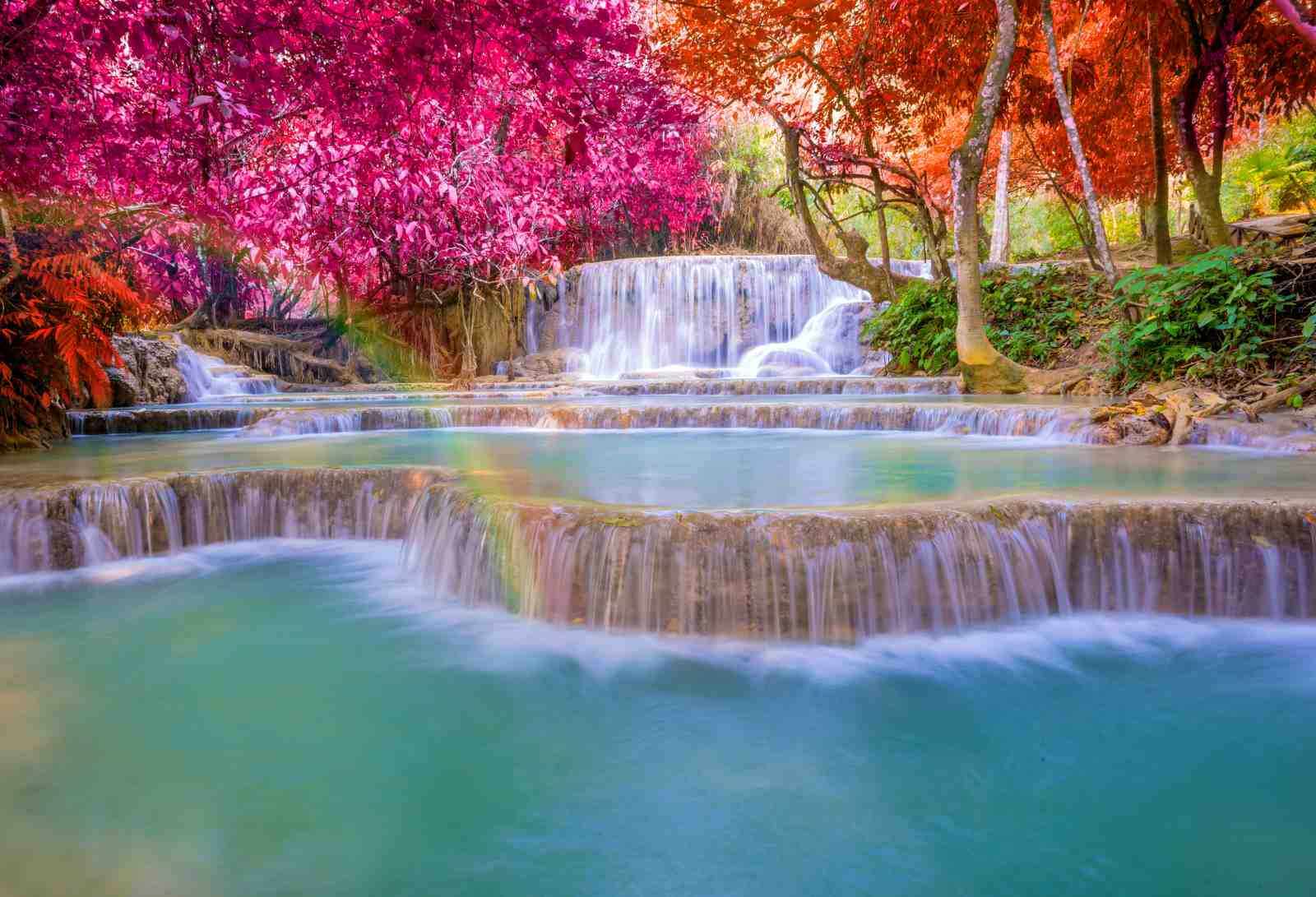 Enchanting Waterfall & Pink Foliage Wall Art