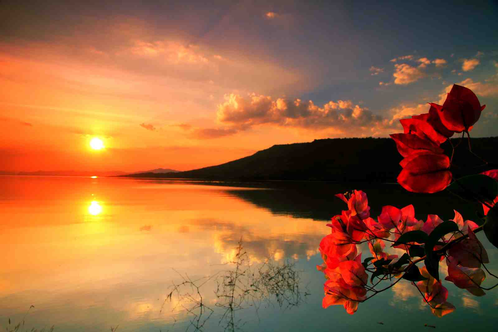 Vibrant Sunset Lake & Flowers Wall Art