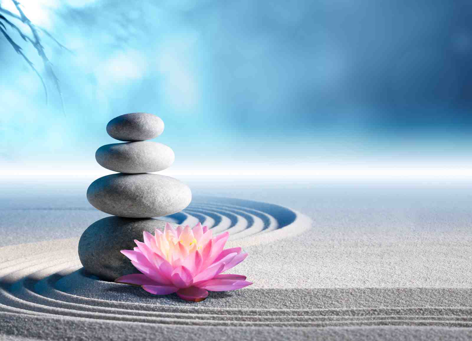 Zen Garden Serenity Lotus Wall Art