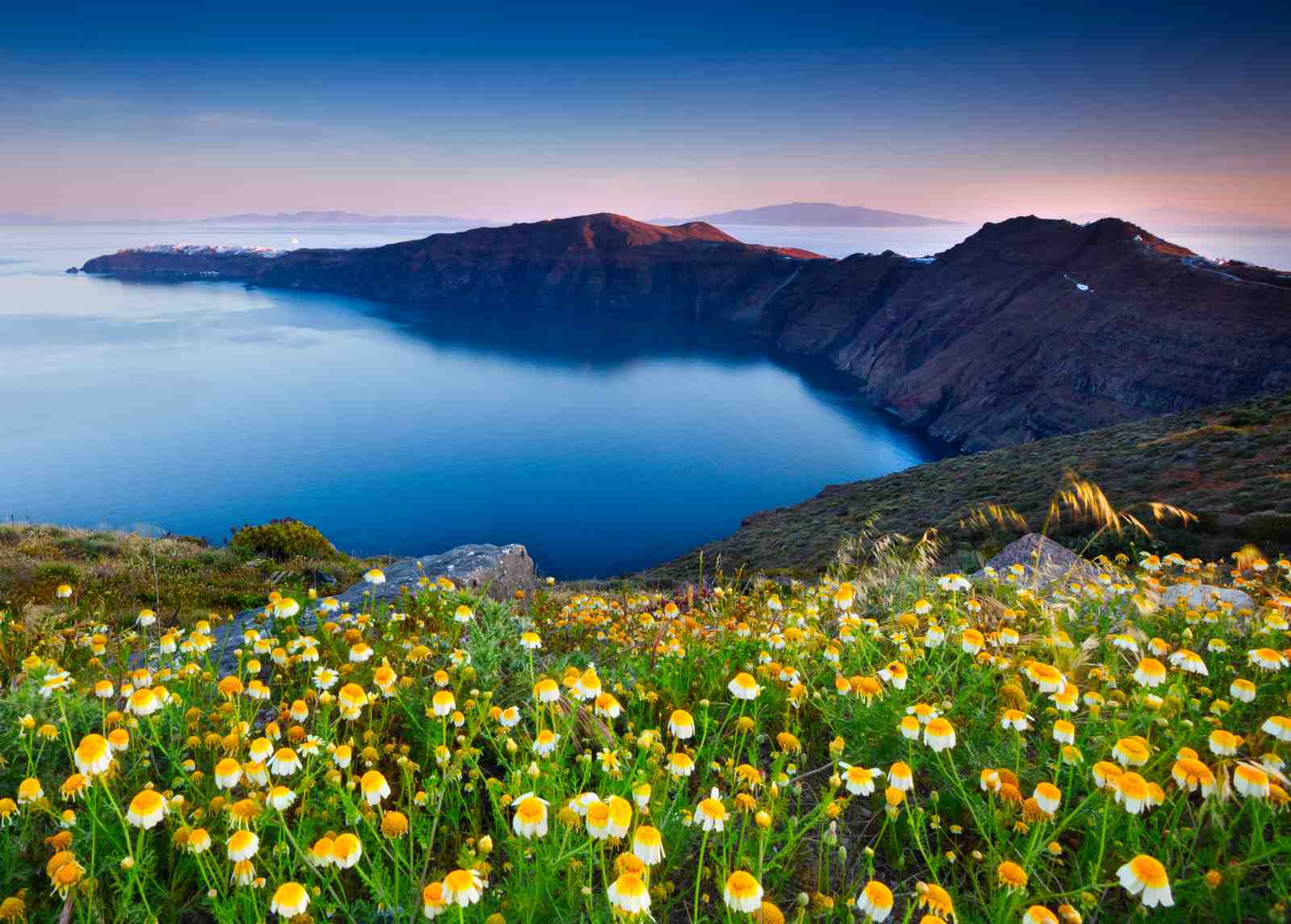 Santorini Sunset Floral Landscape Wall Art