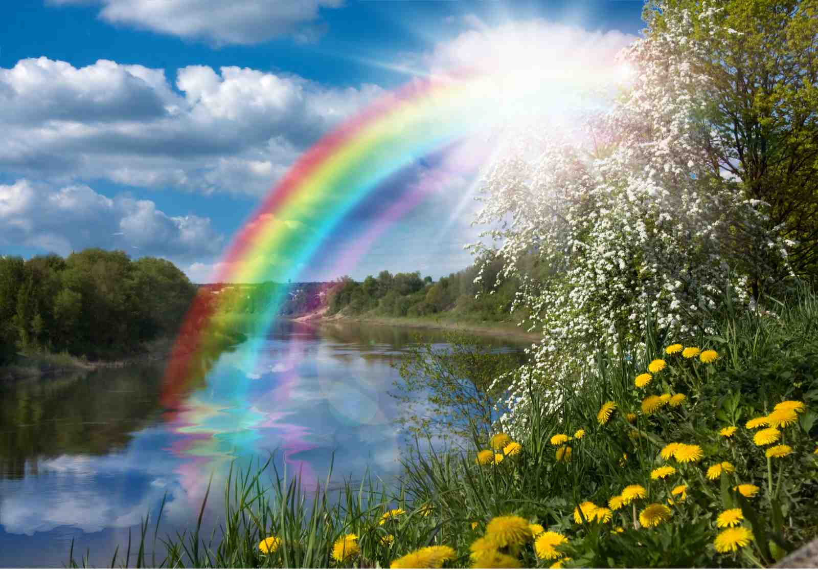 Vibrant Rainbow River Spring Meadow Wall Art