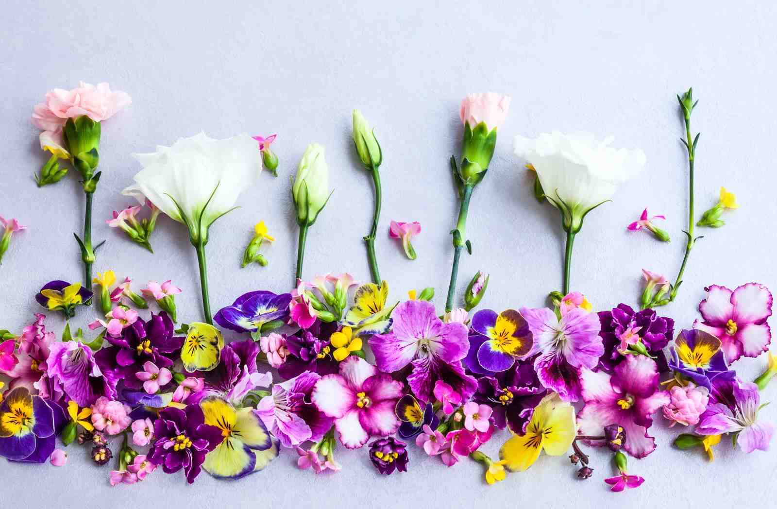 Vibrant Floral Meadow Wall Art