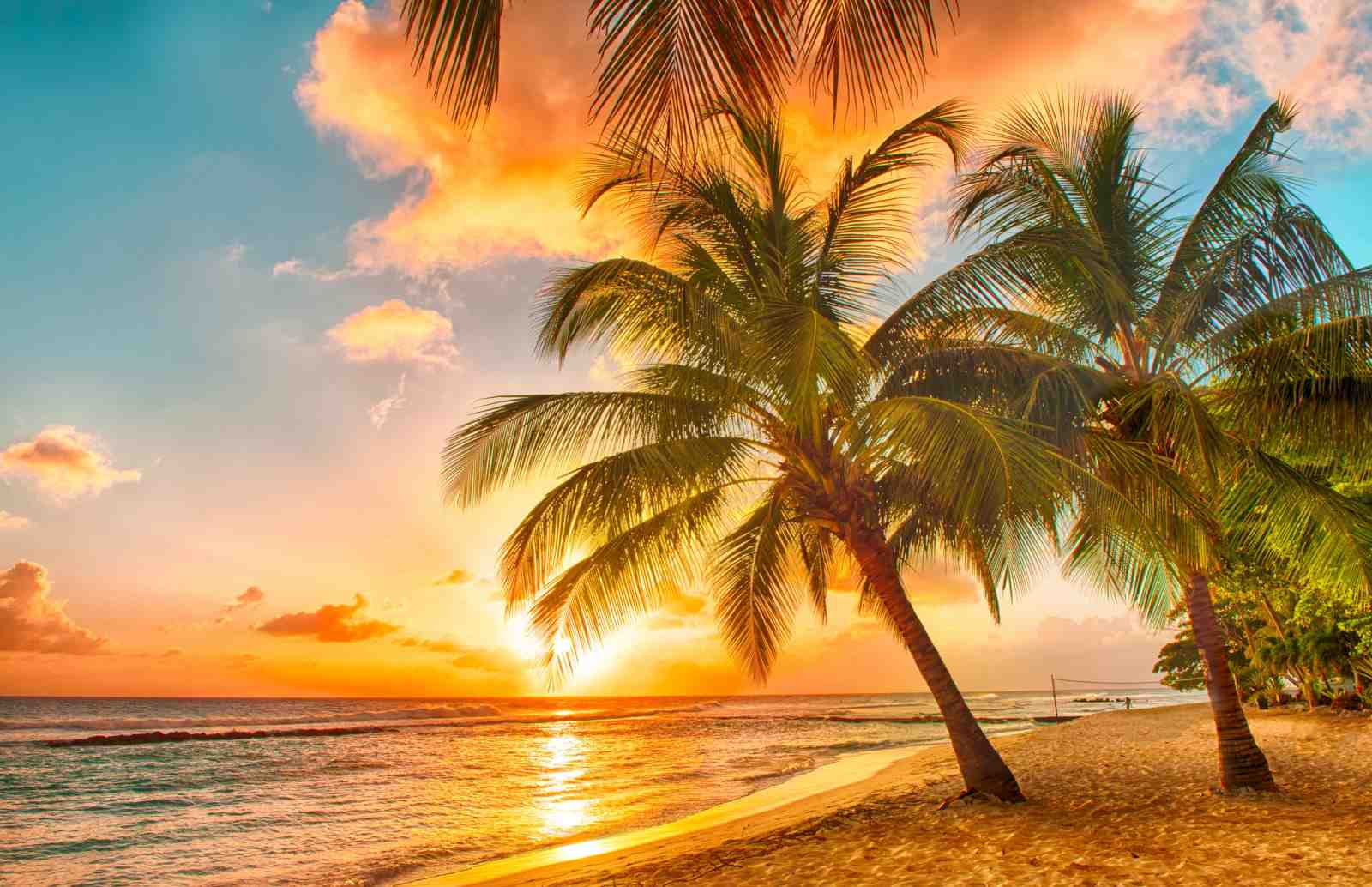 Tropical Sunset Palm Trees Beach Wall Art
