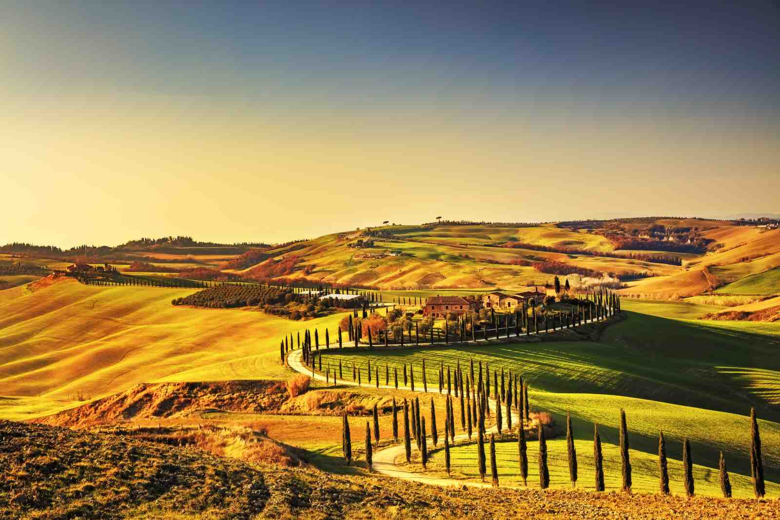 Tuscan Cypress Lane Landscape Wall Art
