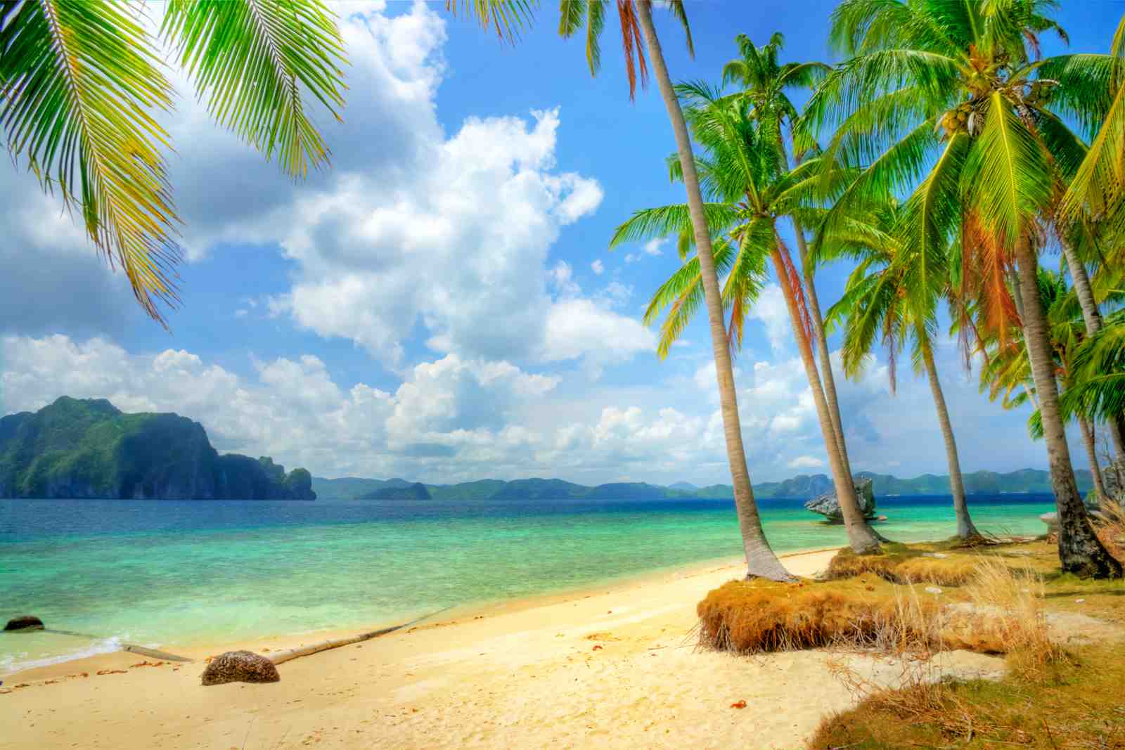 Tropical Paradise Beach Palm Trees Wall Art