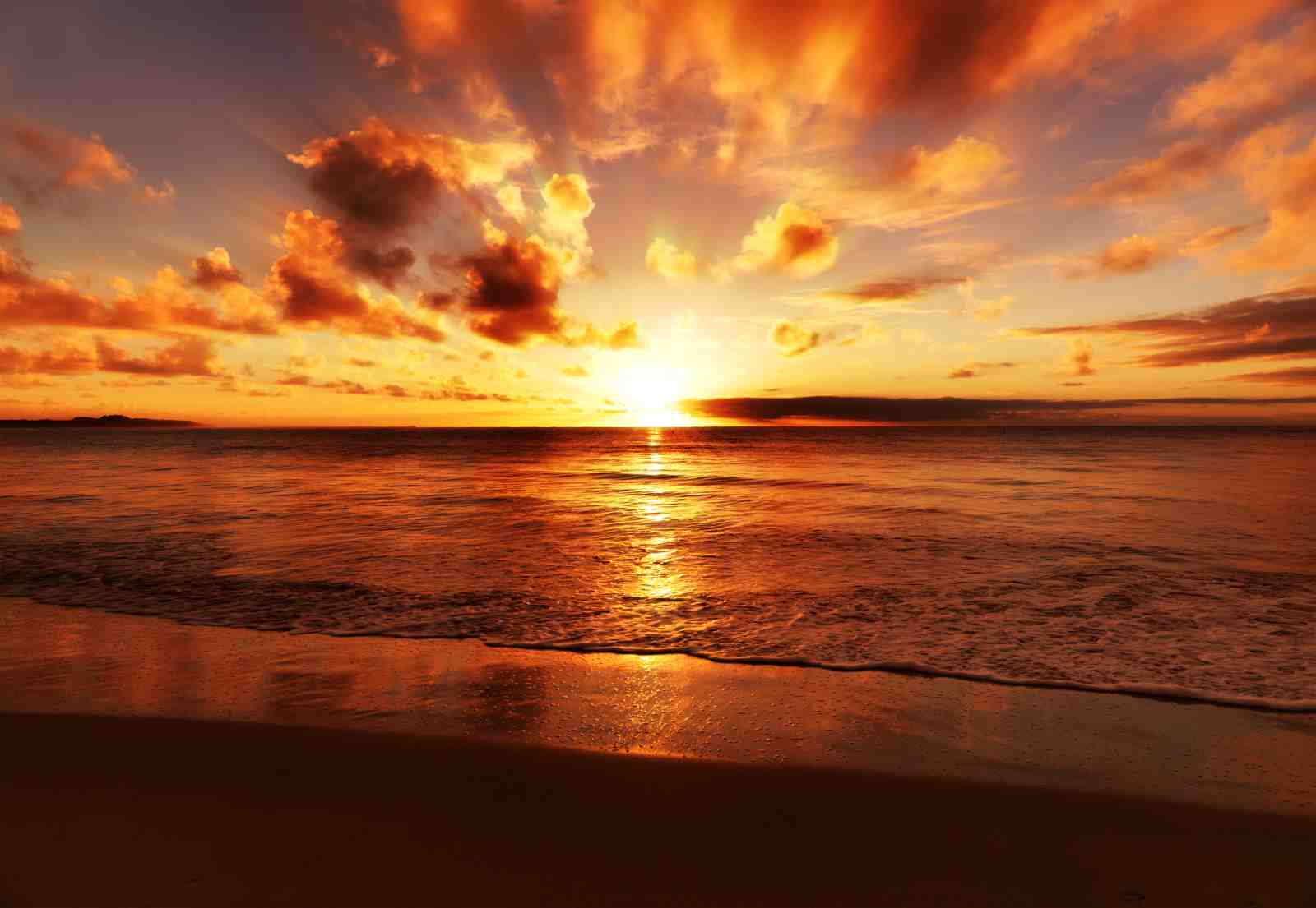 Golden Sunset Ocean Beach Wall Art