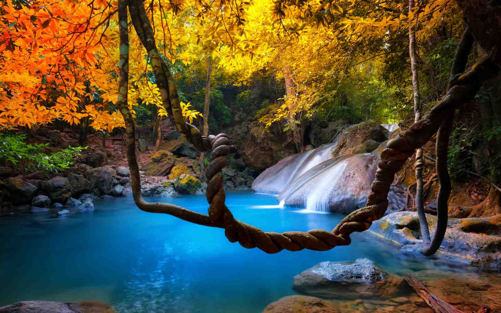 Tranquil Waterfall & Autumn Leaves Wall Art