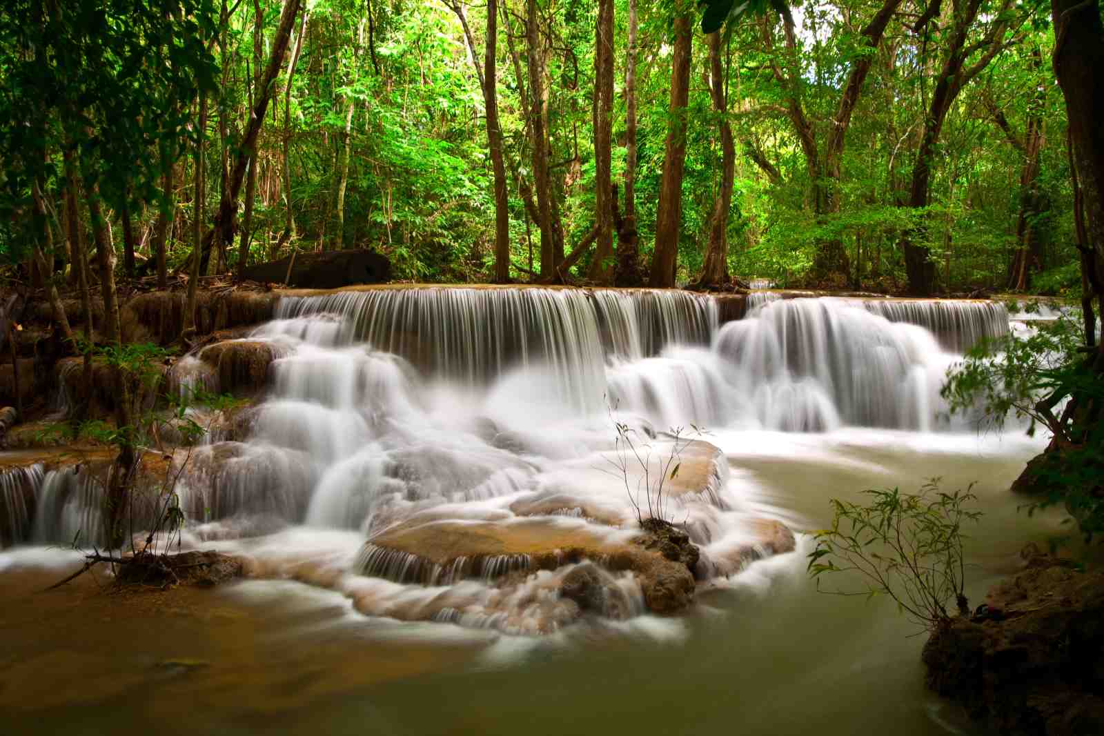 Lush Rainforest Waterfall Serenity Wall Art