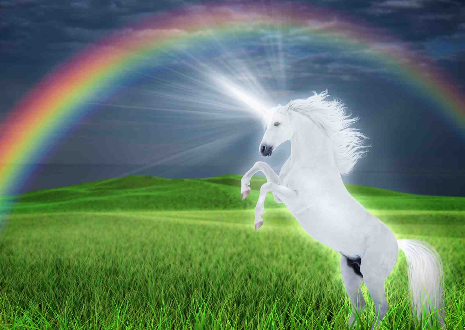 Magical Unicorn Rainbow Field Wall Art