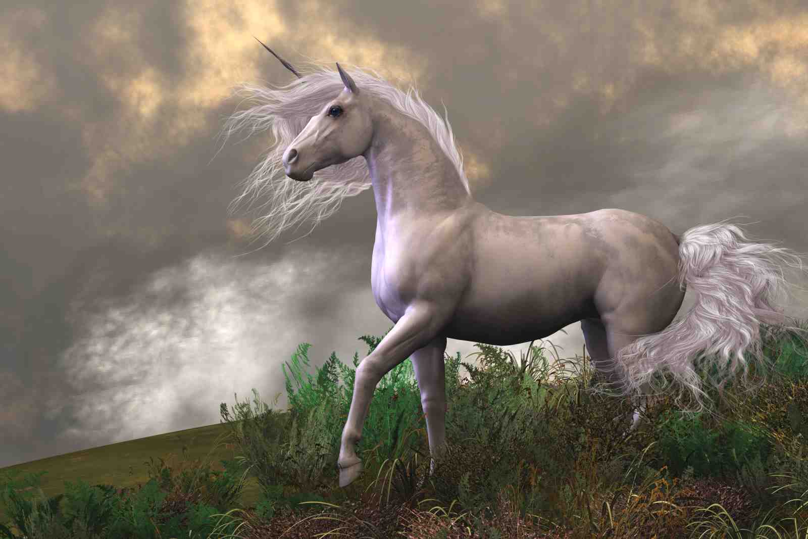 Majestic Unicorn on Stormy Hillside Wall Art