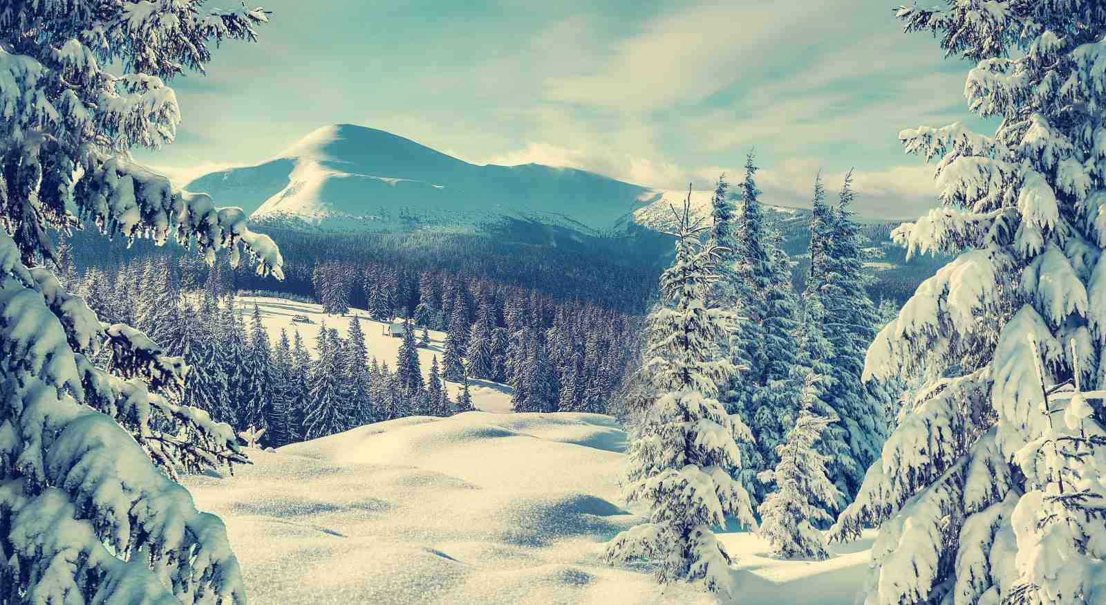 Tranquil Winter Landscape Snow Forest Wall Art