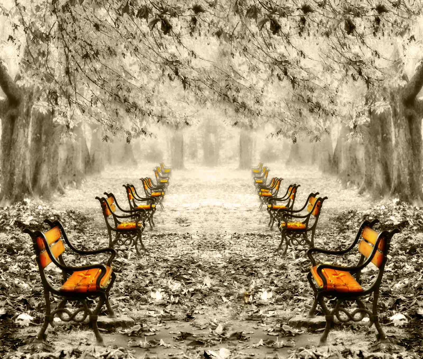 Autumn Park Benches Orange Seat Wall Art