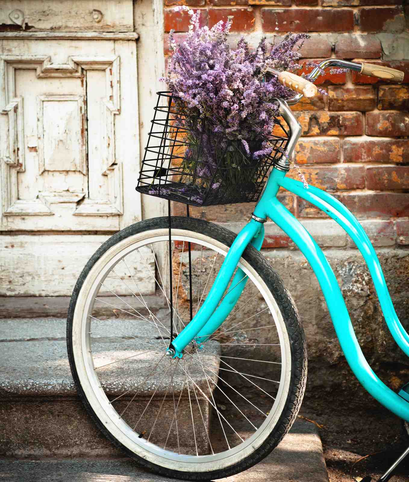 Turquoise Bicycle Lavender Provence Wall Art