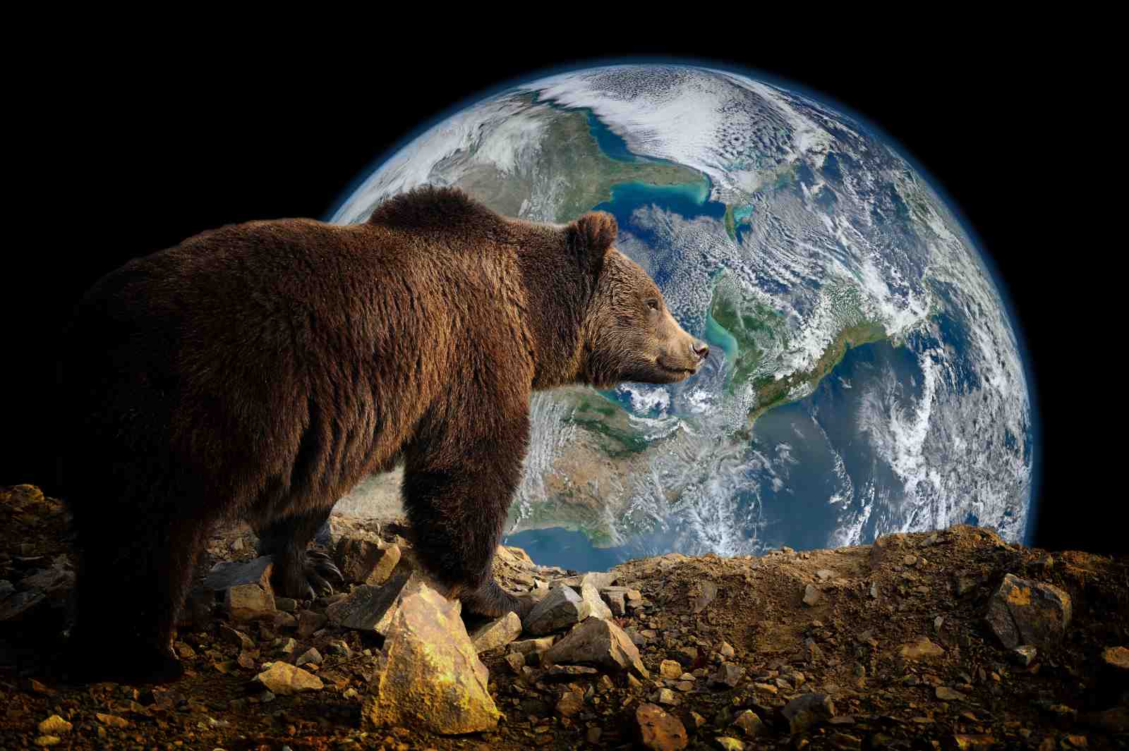 Majestic Bear Overlooking Earth Wall Art