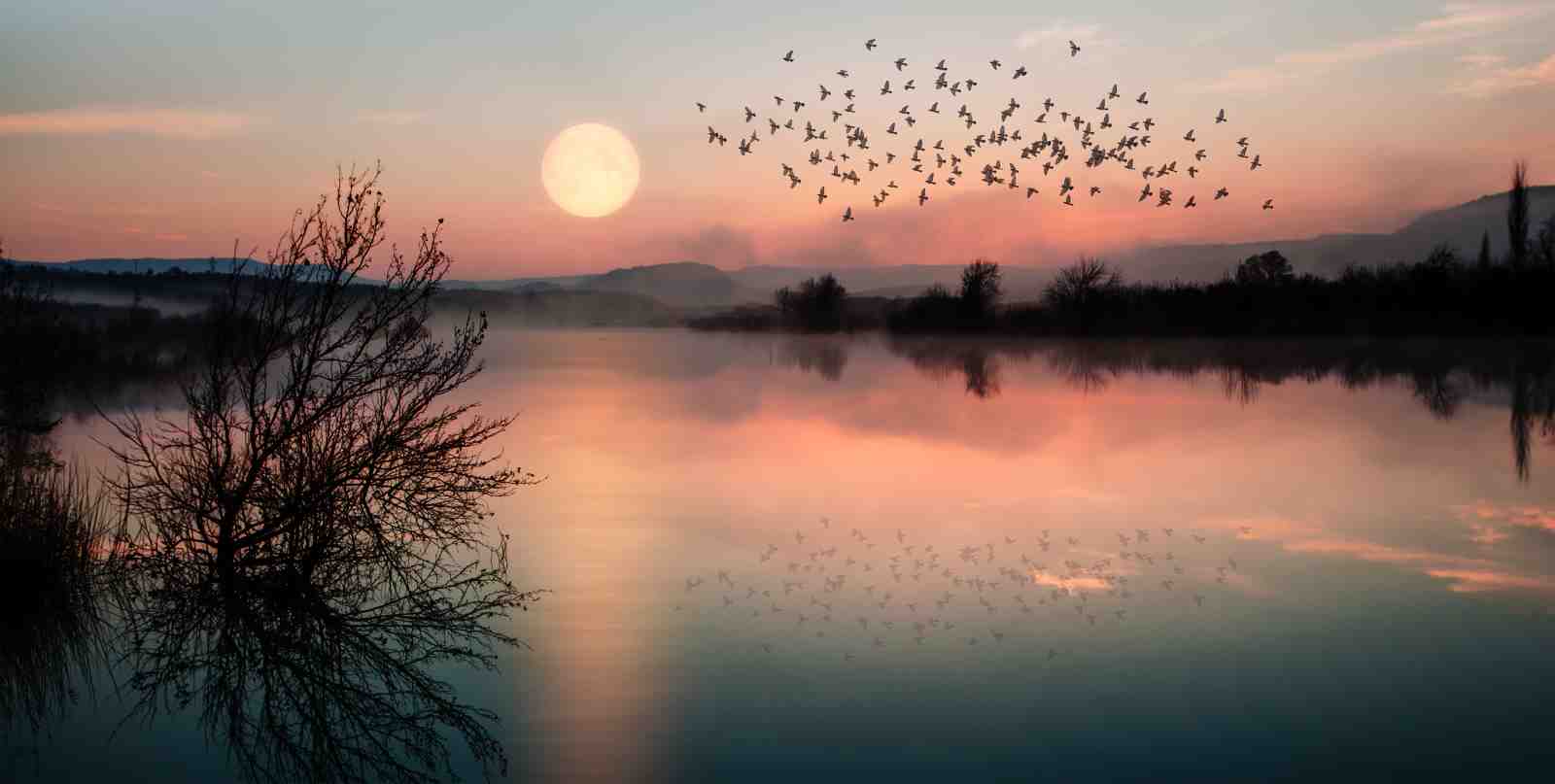 Tranquil Sunset Flock Wall Art
